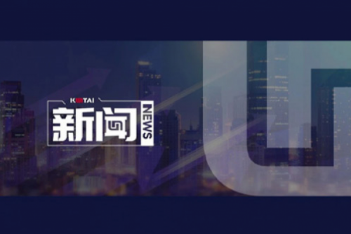 AI驱动新增长，扣非净利提升10%，leyu.乐鱼数码2025一季度稳健开局